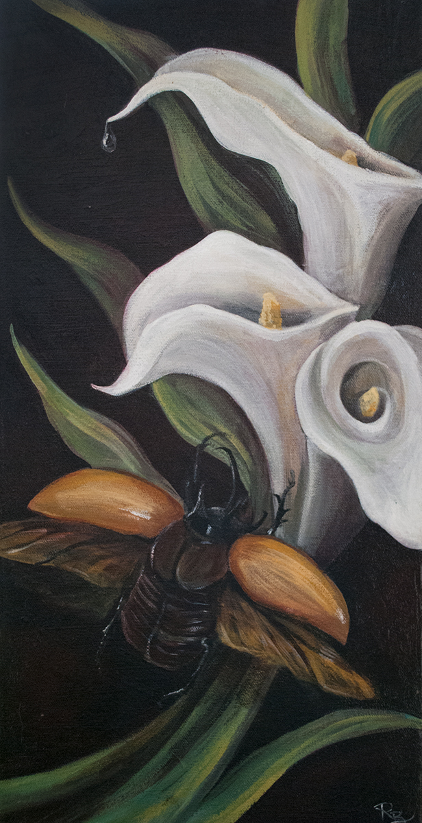 A single calla lily with a flying rhinoceros beetle