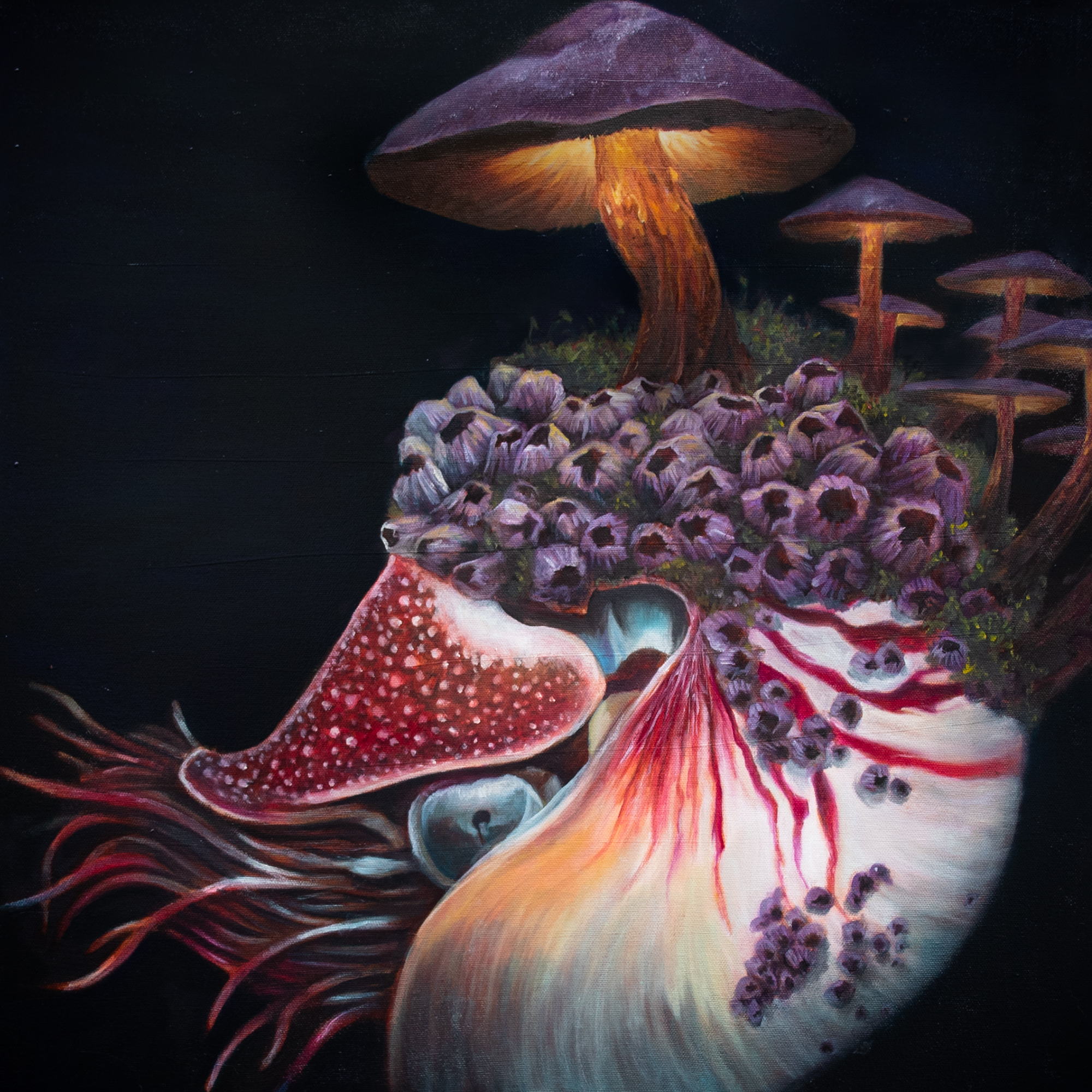 Nautilus covered in barnacles, mushrooms and moss. The mushrooms have light emanating from the caps illuminating the barnacles and nautilus shell. The creature appears on top of a dark background 