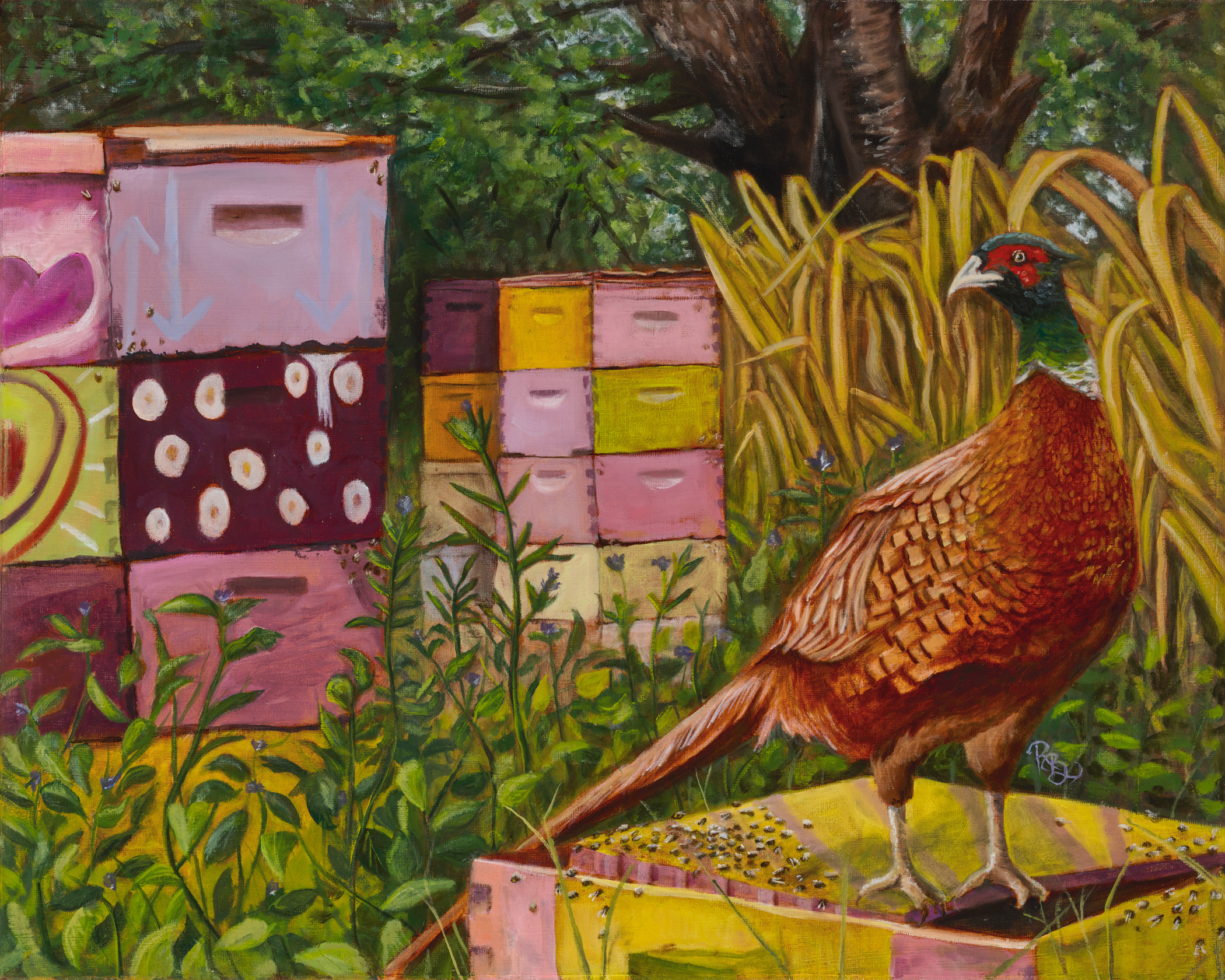 A pheasant stands on top of a pink and yellow painted apiary box covered in bees. In the background stacks of colorfully painted are stacked 3 to 4 high with various patterns. The boxes are surround by Hawaiian native plants.