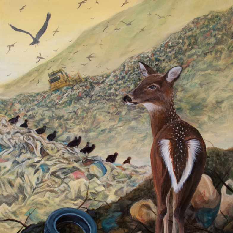 deer standing in landfill looking out at bulldozer