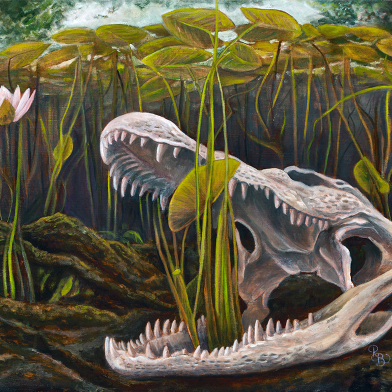 Alligator skull submerged underwater surrounded by lily pads. A cluster of lily pads grow out of the jaws of the skull and reach towards the water's surface.
