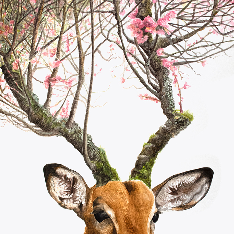 African antelope, impala, with horns made of tree bark covered in moss turning into cherry tree branches on which pink cherry blossoms are blooming